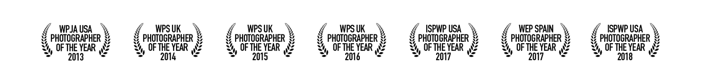 wedding awards - wedding photographer of the year